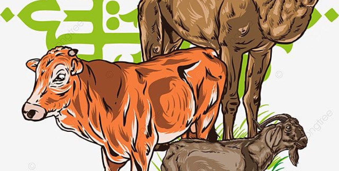 Standar Tiga Hewan Qurban, Idul Adha, Lebaran, Idul Adha PNG dan Vektor dengan Background Transparan untuk Unduh Gratis
